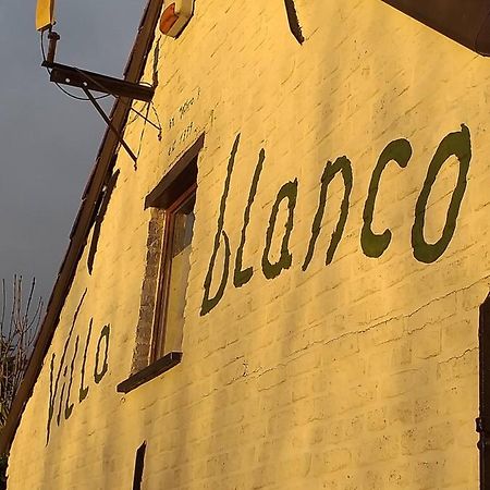 Villa Blanco Opwijk Bagian luar foto