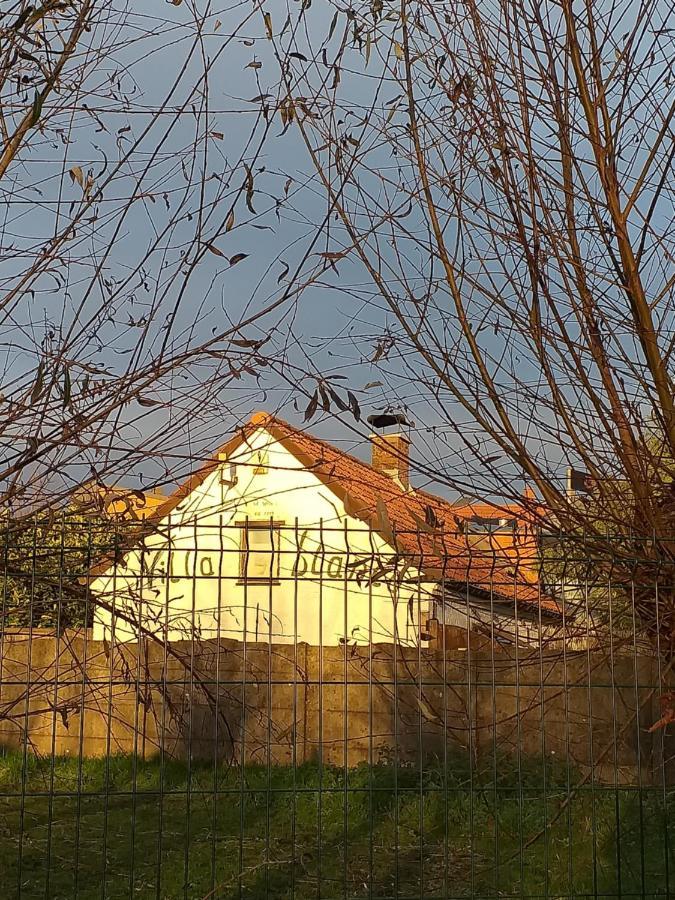 Villa Blanco Opwijk Bagian luar foto
