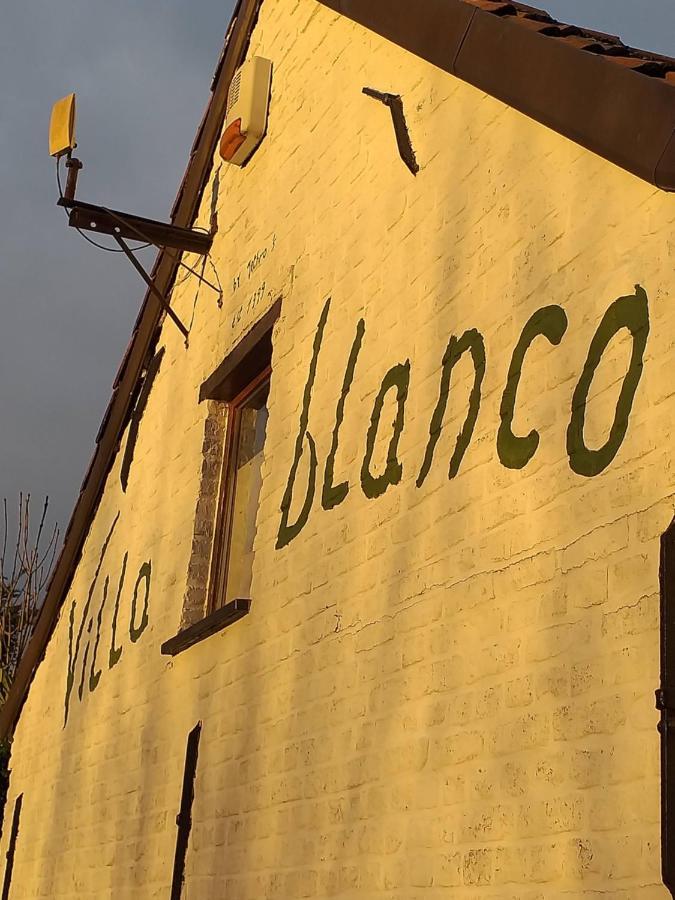 Villa Blanco Opwijk Bagian luar foto